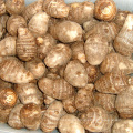 China best fresh taro for international marker